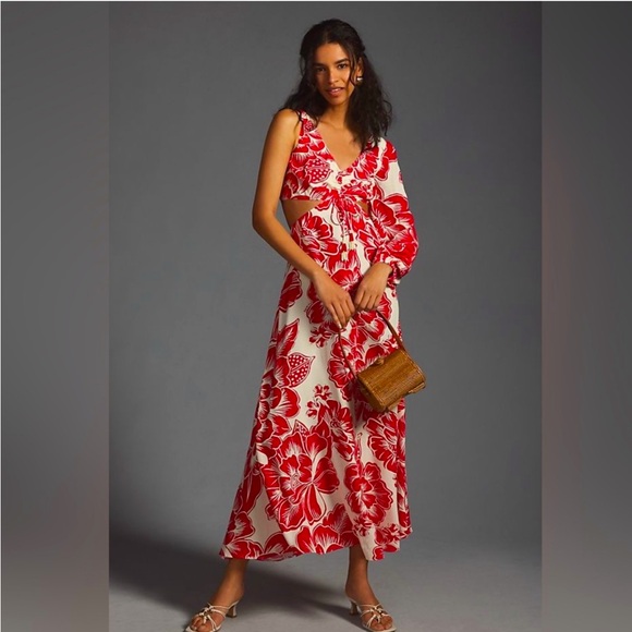 Raro farm rio dress - Picture 1 of 5
